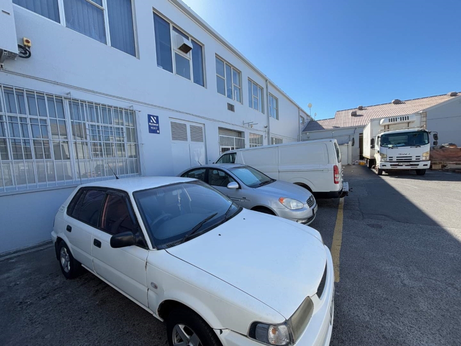 To Let commercial Property for Rent in Paarden Eiland Western Cape